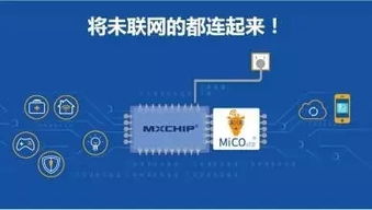 互联网的蜕变 从虚拟世界到智能生态的融合